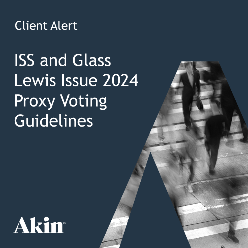 Glass Lewis 2025 Voting Guidelines